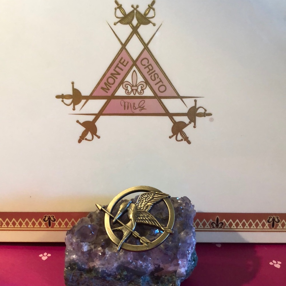 Beautiful Mockingjay Pin